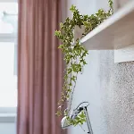 Neptun - Stare Miasto Apartament Gdańsk